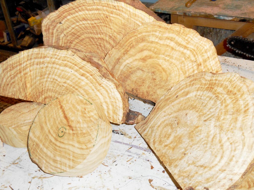 Sliced Cedar Burl